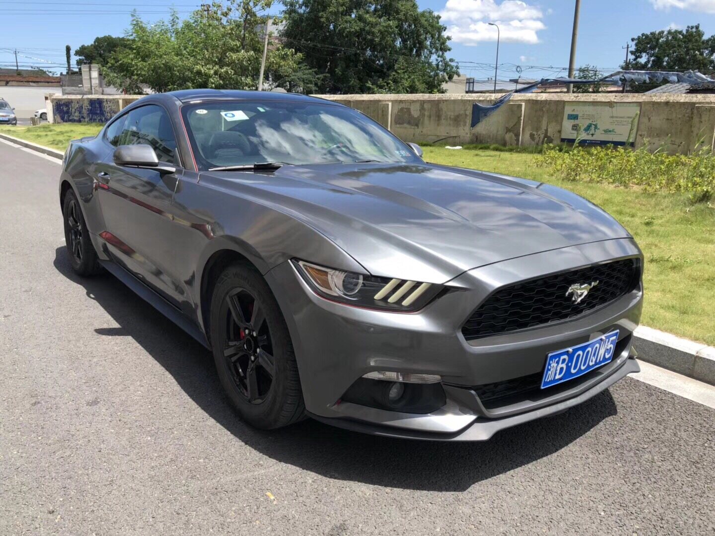 福特野马 2016款 进口野马 2.3t 性能版